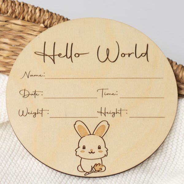 Bunny themed birth announcement plaque with space to include the baby's details.