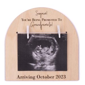 Baby birth announcement disc featuring 2 pegs holding up an ultrasound image.