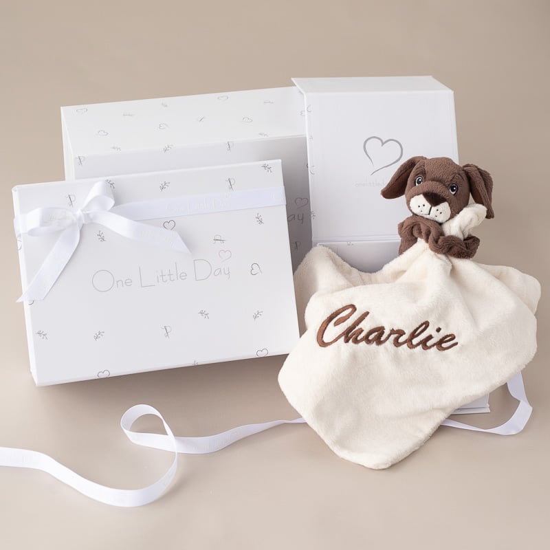 Puppy Comforter Sitting Next To Gift Box.